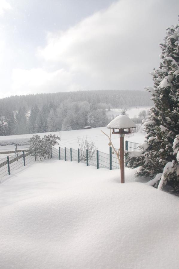 Ferienhaus Waldblick Siegmundsburg Buitenkant foto