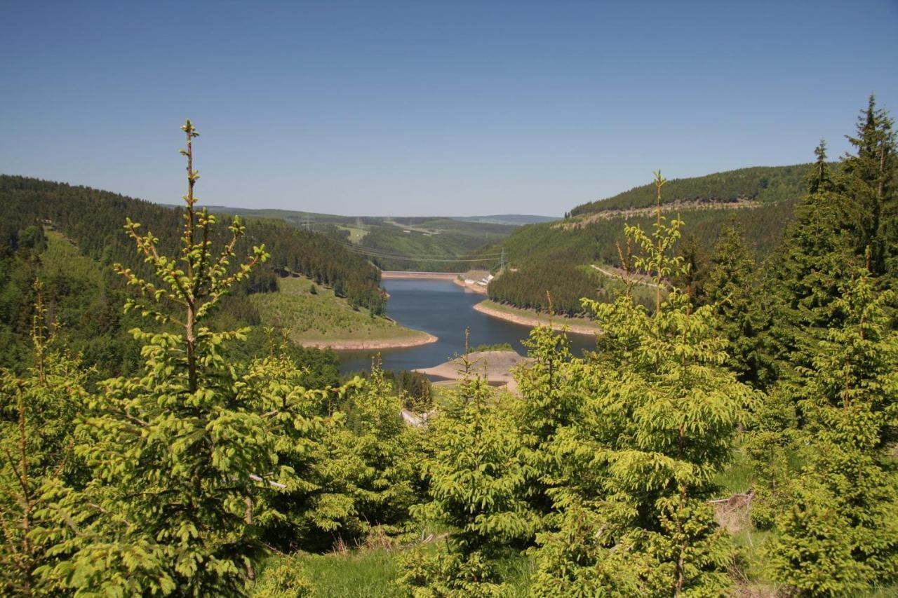 Ferienhaus Waldblick Siegmundsburg Buitenkant foto